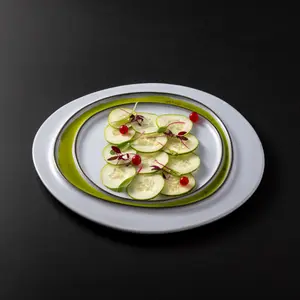 Round plate Costa Nova (x6) image-1