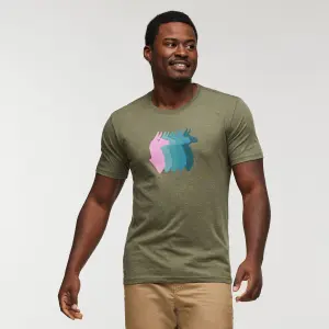 T-Shirt Cotopaxi Llama image-1