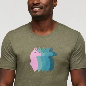 T-Shirt Cotopaxi Llama image-6