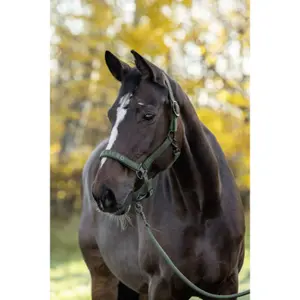 Fellhalfter Covalliero image-1