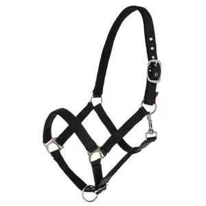 Cabresto para cavalos Covalliero Dexter image-0