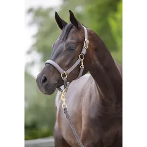 Halter for horse Covalliero Classy image-3