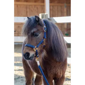 Halter for horse Covalliero TopLine image-0