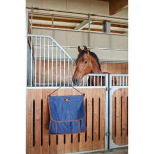 Boxing bag Covalliero Milano image-3