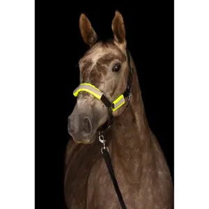 Reflektierendes Zaumzeug und Halfter Set Covalliero image-1