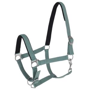 3228206-halter-for-horse-covalliero-doria-jade-green