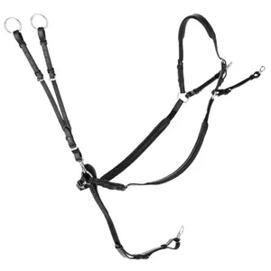 Martingal mit Ringen Covalliero image-0