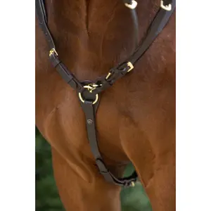 Martingale with rings Covalliero image-1