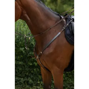 Martingale with rings Covalliero image-2