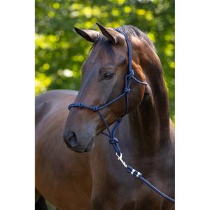 Ethological horse halter Covalliero image-1