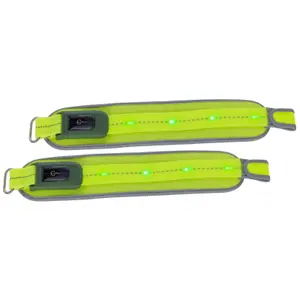 LED ιπποσήματα Covalliero image-0