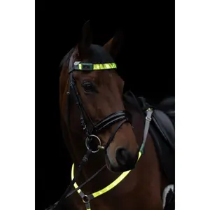 LED φως μπροστά Covalliero image-1
