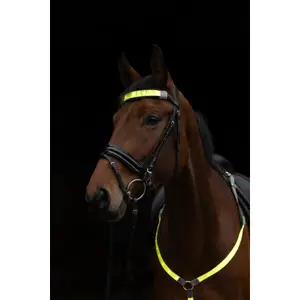 LED φως μπροστά Covalliero image-2