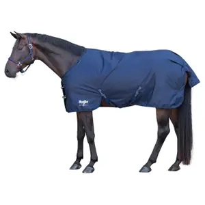 Outdoor  Blanket Covalliero RugBe 100 g image-1