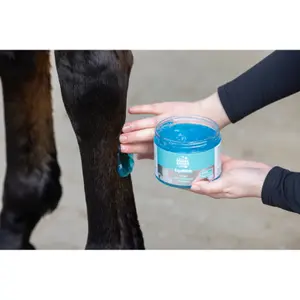 Verfrissende gel voor paarden Covalliero MagicBrush EquiMint image-1