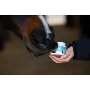 Appelbalm voor paarden met appel Covalliero MagicBrush Lucky Lips image-1
