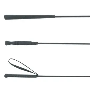 Ruimte voor paardrijden Covalliero image-1