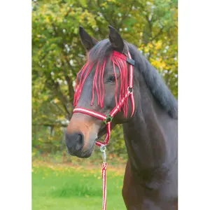 Maschera antimosche equitazione Covalliero image-1