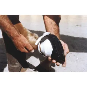 Horse shoe sandal Covalliero Shoof image-1