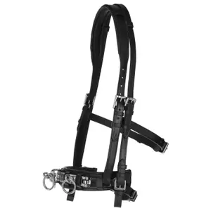 328649-lederkappzaum-fur-pferde-covalliero-exclusif-schwarz