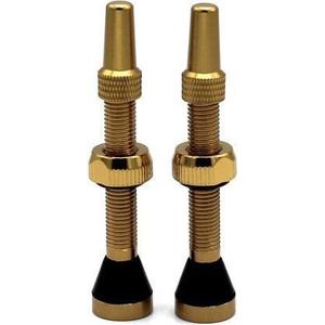 cp-al44-r-gold-valvola-in-alluminio-per-cerchio-captain-protect-oppure-44-mm