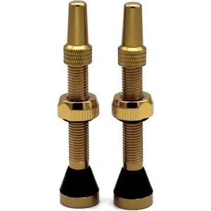 cp-al44-r-gold-alu-felgenventil-captain-protect-oder-44-mm