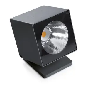 Illuminated spotlight Cristher lighting Dado IP66 COB 1650lm(1504lm) CRI80 4000K 49º image-0