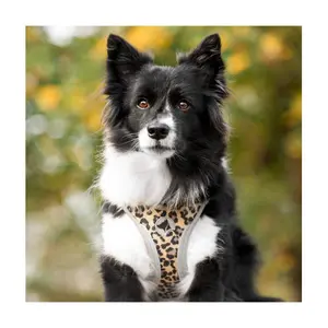 Arnês refletor para cães Croci Canifrance Reflective image-1