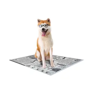 Dog mat Croci Canifrance Super Nappy Newspaper (x60) image-0