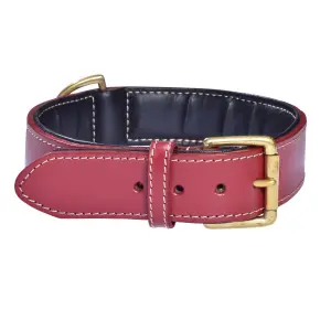 Hundehalsband aus Leder Bobby Haute Finition image-0