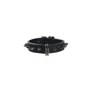 Hundehalsband aus Leder Bobby Hercule image-0