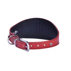 Leren halsband Bobby Levrier Nicky image-1