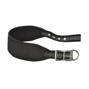 Hundehalsband Bobby Levrier Oscar image-0