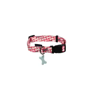 Hundehalsband Bobby Rio image-0