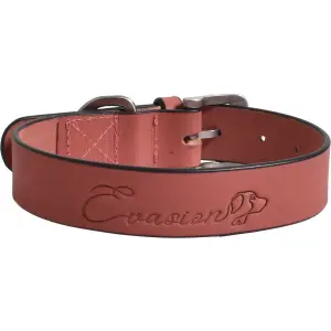 Hundehalsbånd Croci Canifrance Rivet image-0
