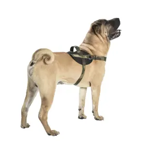 Harnais pour chien camouflage facile Bobby image-1