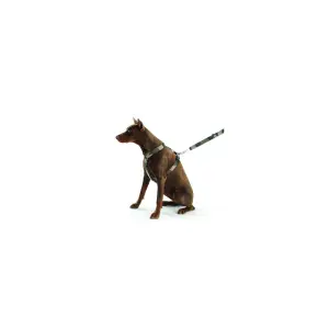 Hundegeschirr Camouflage Bobby image-1