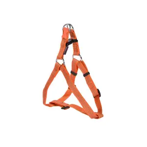 Hundeseler Croci Canifrance Safe image-0