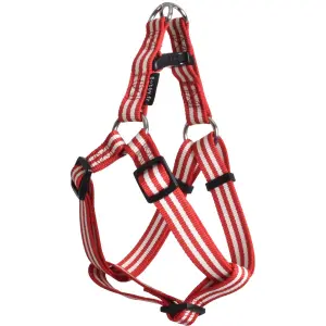 Hundeseler Croci Canifrance Stripe image-0