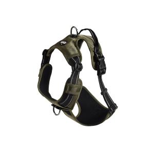 hrwalk-77-20-dog-harness-bobby-rando-walk-green-m