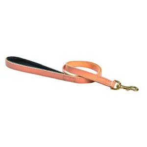 lsclass-11-100-hundlina-med-3-positioner-bobby-walk-beige-2x100-cm