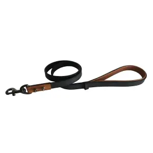 Laisse pour chien Bobby Hercule image-0