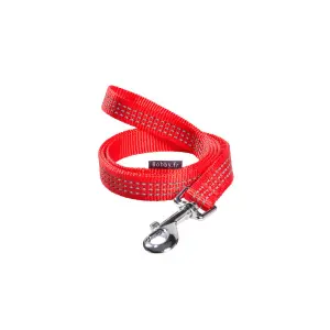 Laisse pour chien Bobby Safe image-0