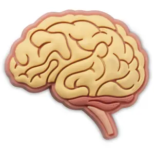 Jibbitz Crocs Anatomical Brain image-0