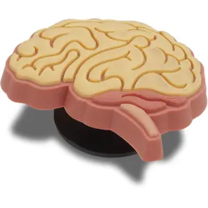 Jibbitz Crocs Anatomical Brain image-1