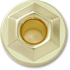 Jibbitz Crocs Gold Hardware image-0