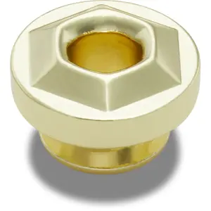 Jibbitz Crocs Gold Hardware image-1