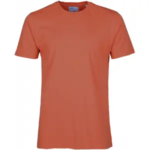 T-shirt Colorful Standard Classic Organic dark amber image-0