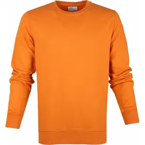 cs1005-burnedorange-sweatshirt-col-rond-colorful-standard-classic-organic-burned-orange