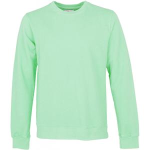 cs1005-fadedmint-sweatshirt-pescoco-redondo-colorful-standard-classic-organic-menta-desbotada